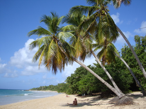 Plage des Salines - Martinique