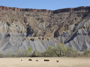 Capitol Reef